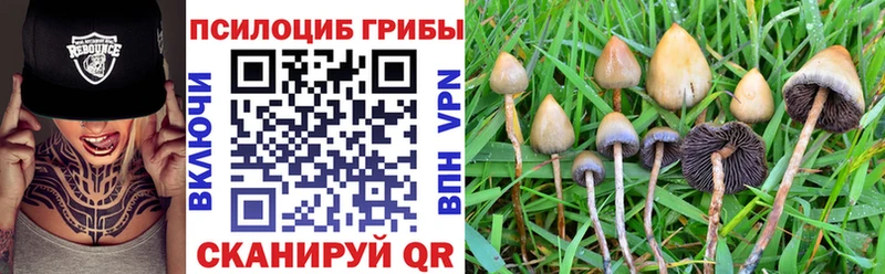 Галлюциногенные грибы Psilocybe  Усинск 