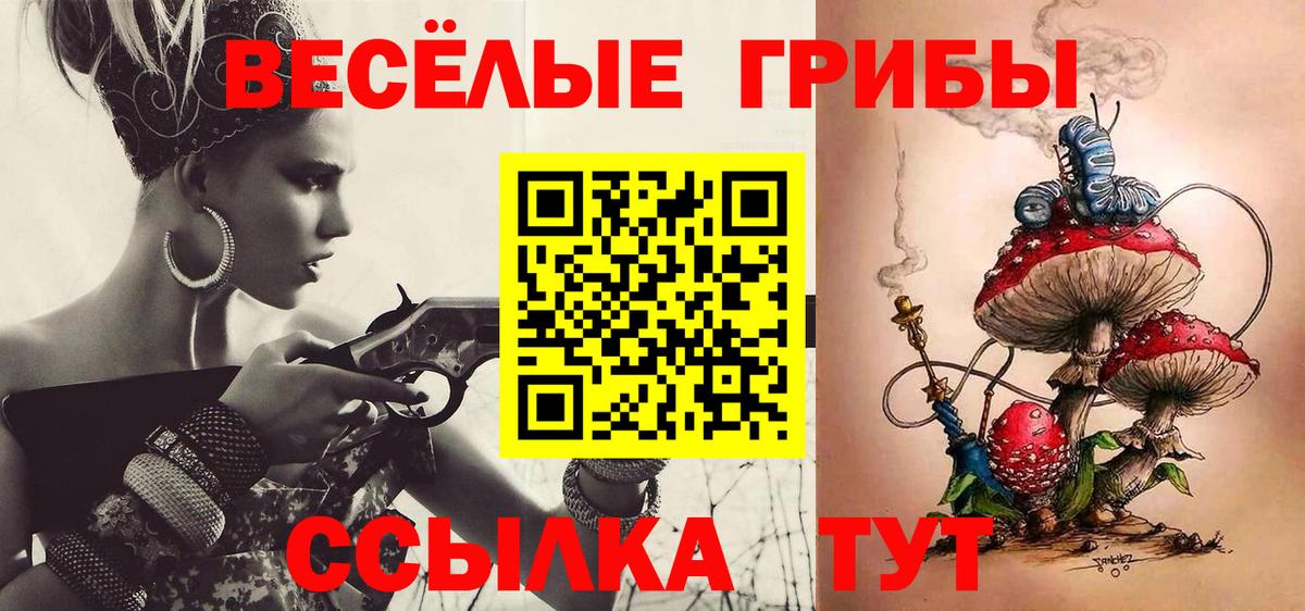 Псилоцибиновые грибы GOLDEN TEACHER Усинск